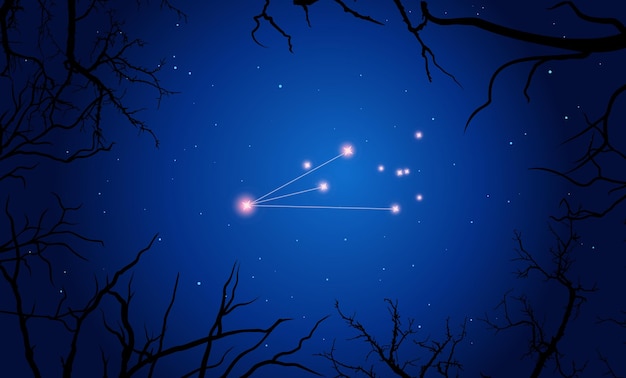 Illustration Pictor constellation, Tree branches, dark blue starry sky