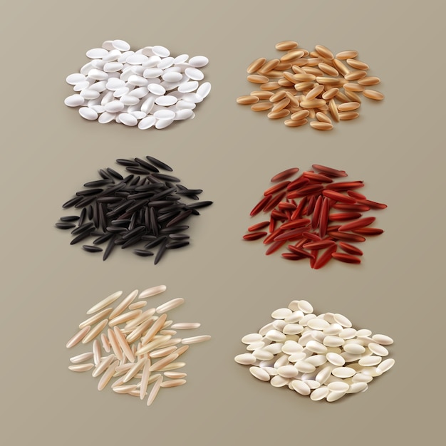 Illustration of piles of different rice varieties including jasmine, basmati, wild rice and parboiled in red, white, brown and black color on background