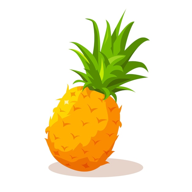 Illustration of pineapple fruit in cartoon style isolated on white background