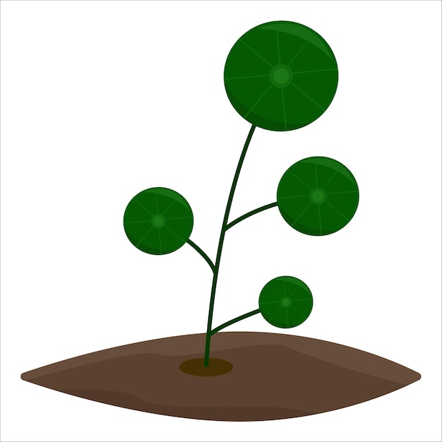 Vector illustration of plant