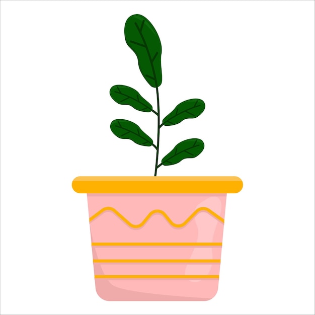 植物のイラスト