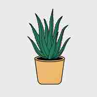 Vector illustration plants at the pot