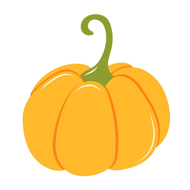 Illustration of pumpkin on a white background