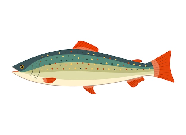 Vector illustration of a rainbow trout