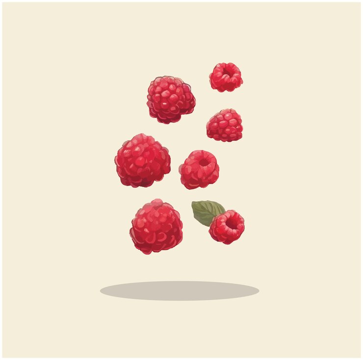 Vector illustration of a raspberry 04
