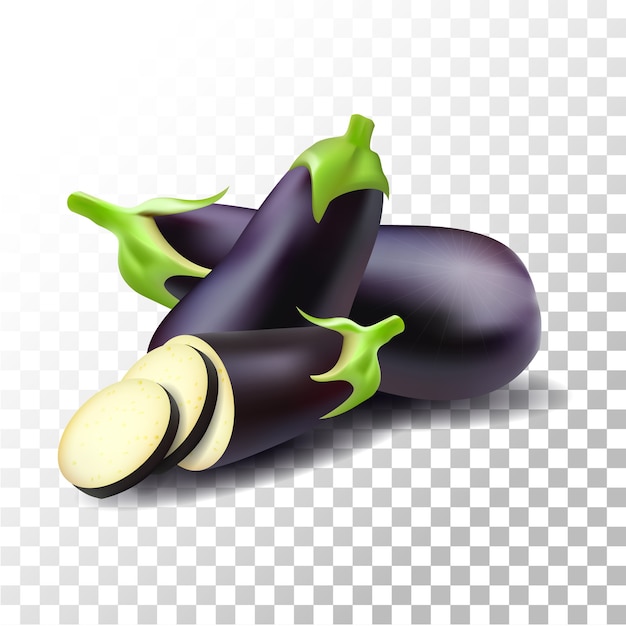 Vector illustration realistic eggplant