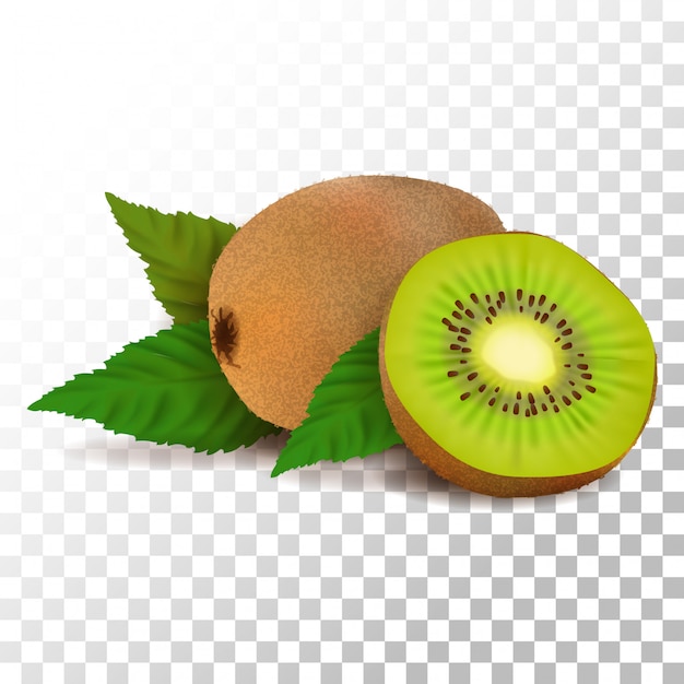 Vettore kiwi realistico dell'illustrazione su trasparente