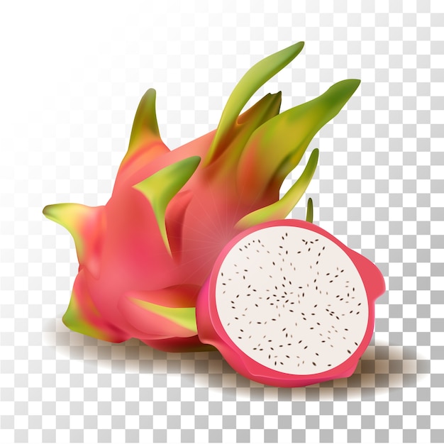 Vector illustration realistic pitaya fruit