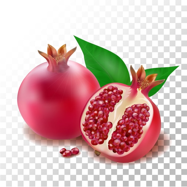 Illustration realistic pomegranate fruit