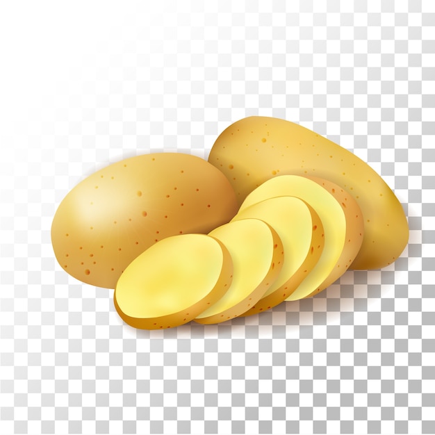 Vector illustration realistic potato