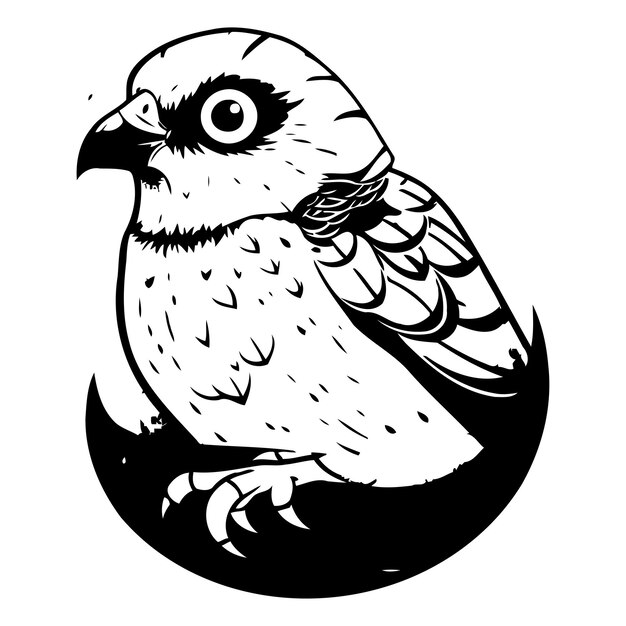 Vector illustration of a red backed falcon on a white background