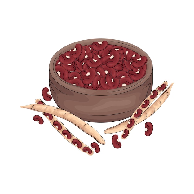 Vector illustration of red bean