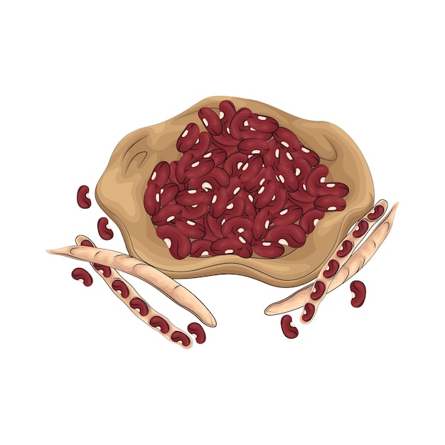 Vector illustration of red bean