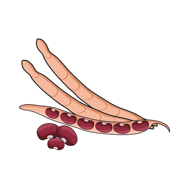 Illustration of red bean