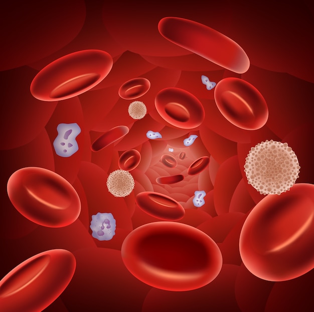 Vector illustration of red blood cells