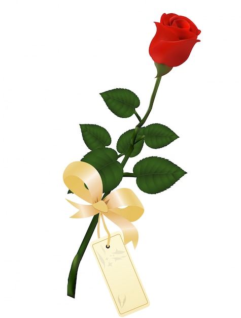 illustration of red roses with greeting card