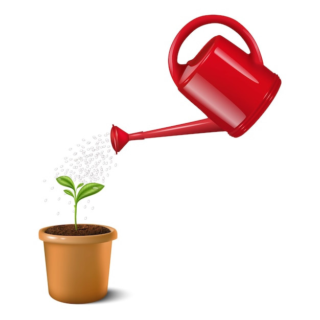 illustration of red water can watering small green plant in a clay brown pot. Isolated on white