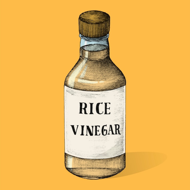 Illustration of rice vinegar