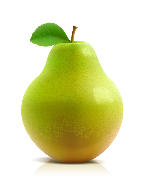 Vector illustration of a ripe pear.