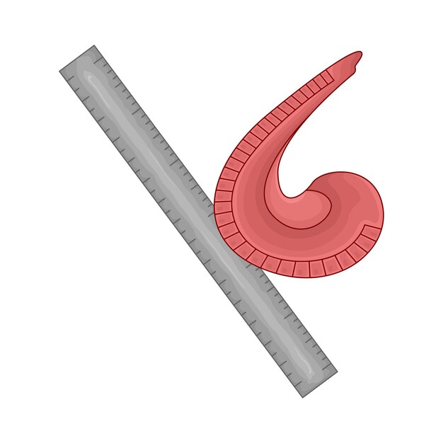 Vector illustration of ruler