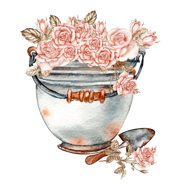 Illustration of rusty with roses. An old rusty enamel jug. Handdrawn watercolour