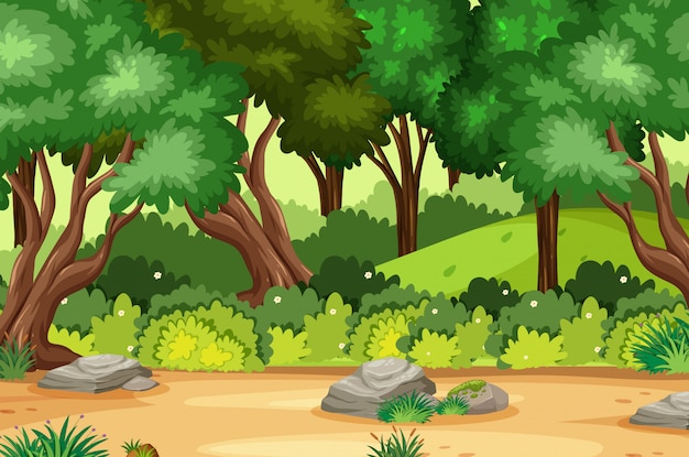 Illustration of scene with many trees in the park