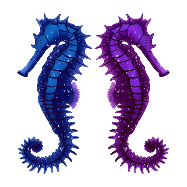 Vector illustration sea reptiles seahorse two types of digital