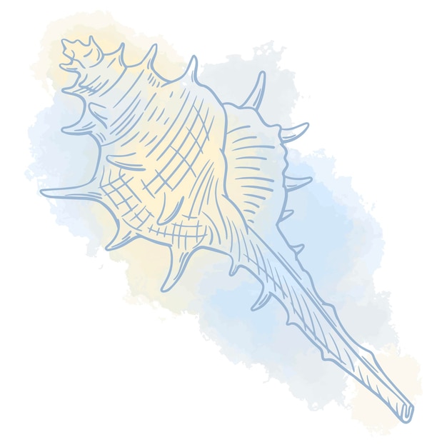 Vector illustration of a seashell