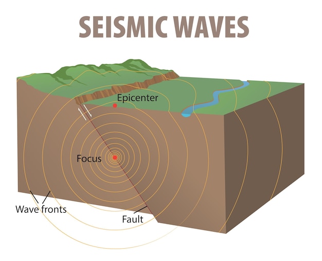 Illustration of seismic waves diagram