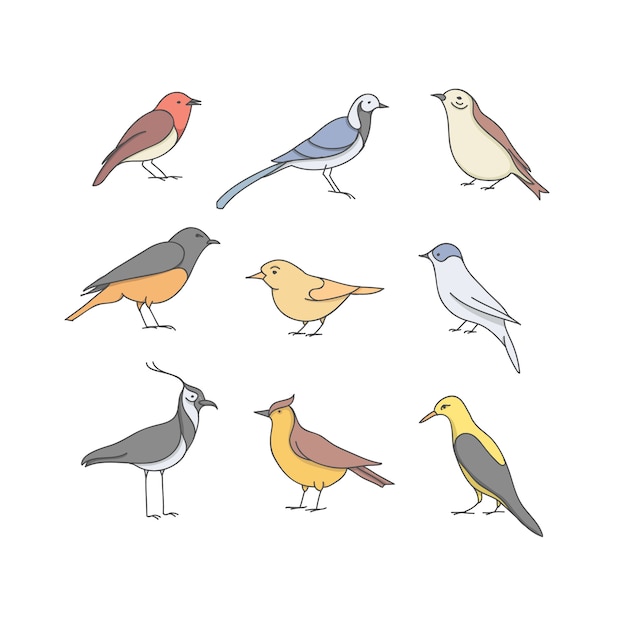 Illustration set of bird