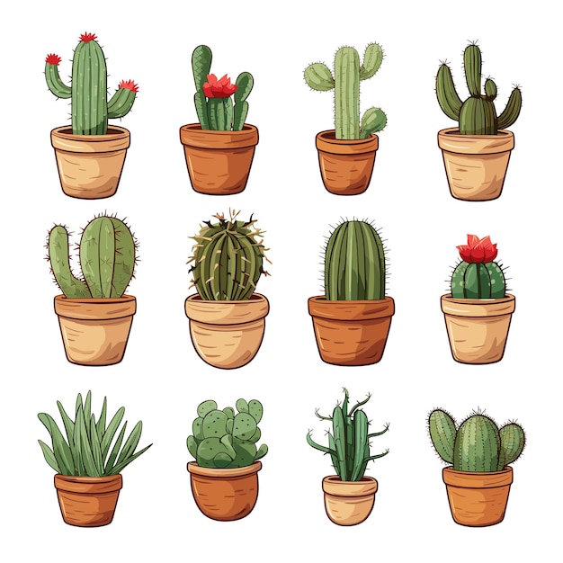Иллюстрационный набор кактусов в терракотовых горшках разных форм и размеров
