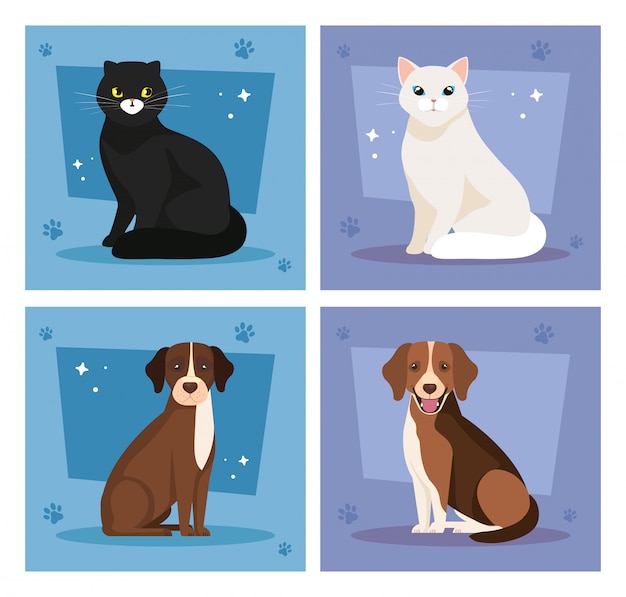 かわいい猫と犬のイラストのイラストセット