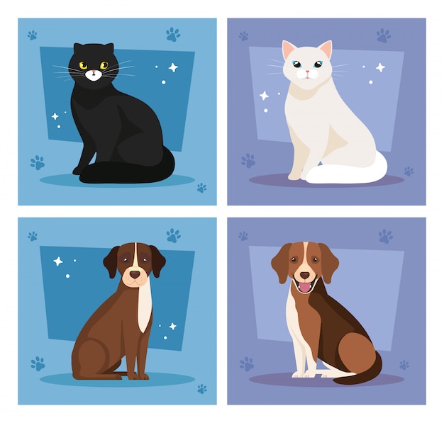 Insieme dell'illustrazione dell'illustrazione sveglia dei cani e dei gatti