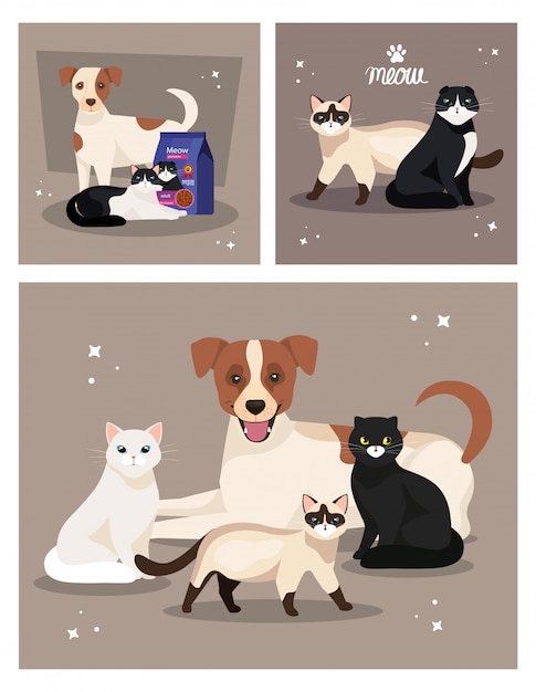 Vettore set di illustrazione di simpatici cani e gatti