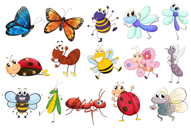 Illustrazione di un insieme di diversi tipi di insetti