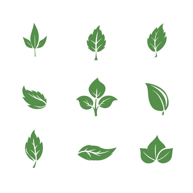 Illustration set of green leaves icon