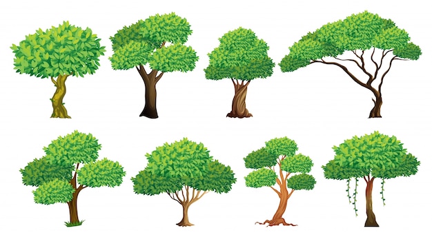 Illustration of a set of many trees