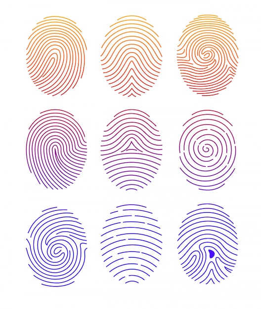 ベクトル 白い背景のラインeの色のグラデーションで異なる形状の指紋のイラストセット。