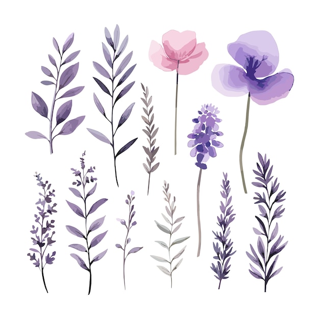 紫のラベンダーと白い花のイラストセット