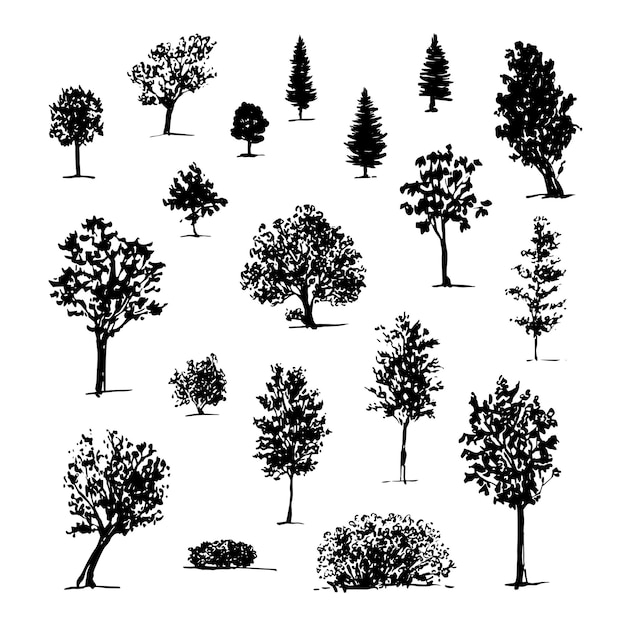 Illustrazione set di sagome alberi isolati su bianco