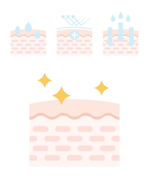 Illustration set of skin care elements