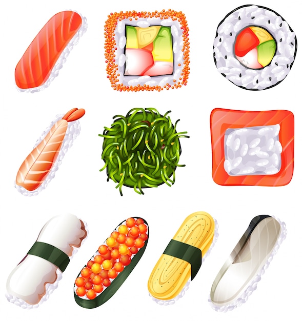 Vector illustration of a set of sushi on a white background