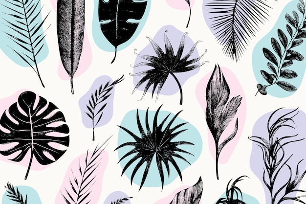 Illustration set of tropical plants and leaves hand drawn style outline sketch