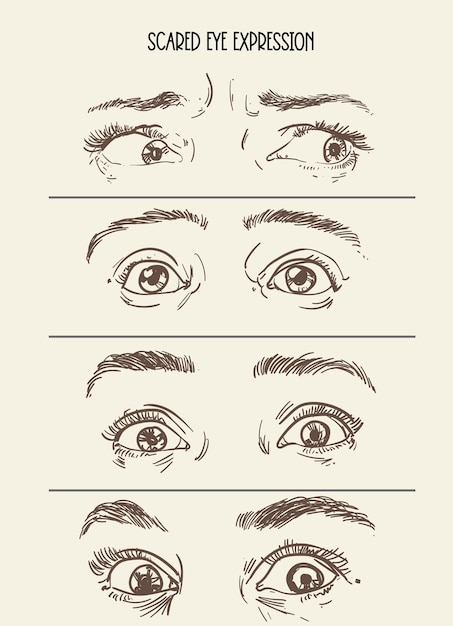 illustration of the shape of the eye and eye expression with a variety of drawing patterns