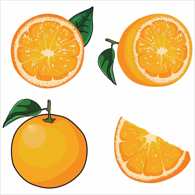 illustration of the shape or image of an orange