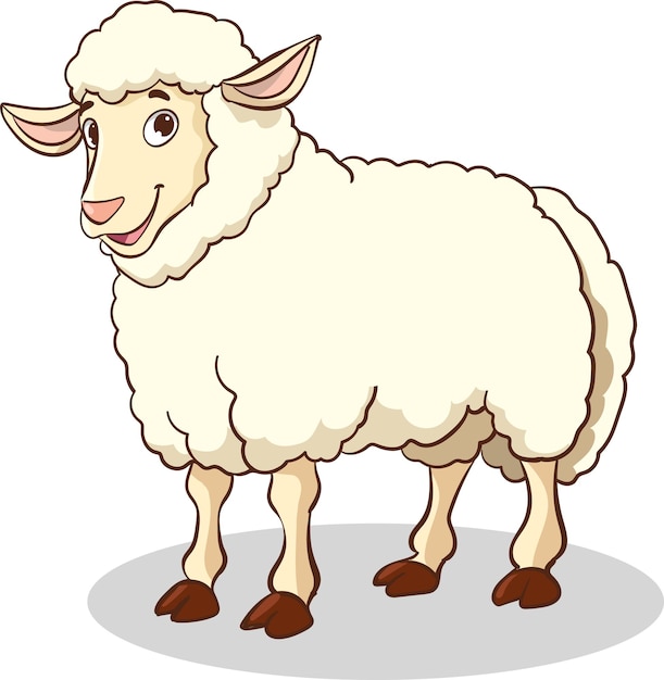 Illustration of a Sheep Standing in a Row on a White Background