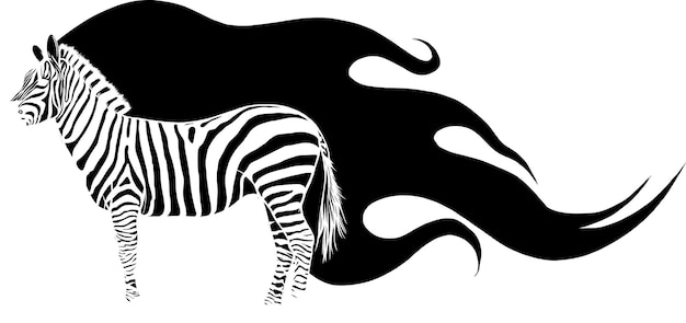 Illustration of silhouette zebra with flames