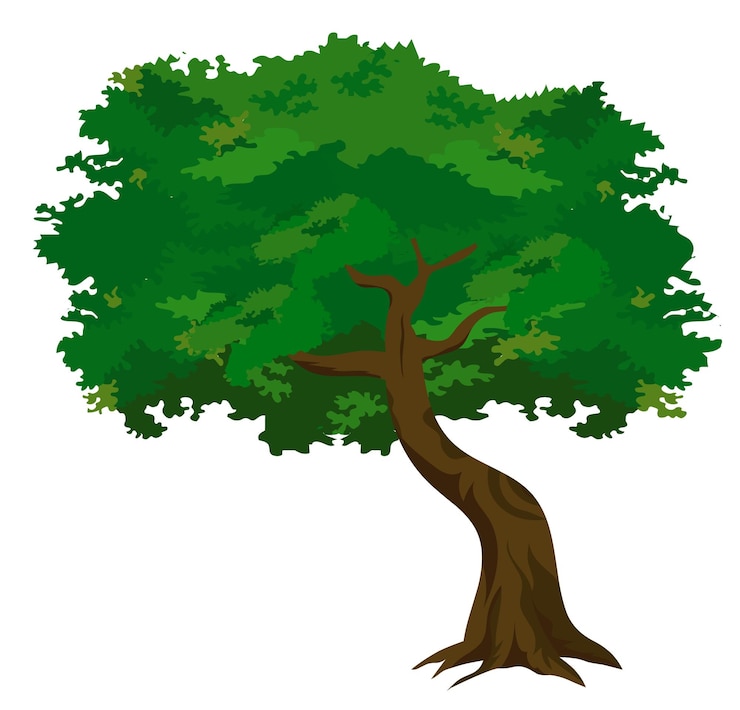 Vector illustration of a single tree with green foliage and a brown trunk