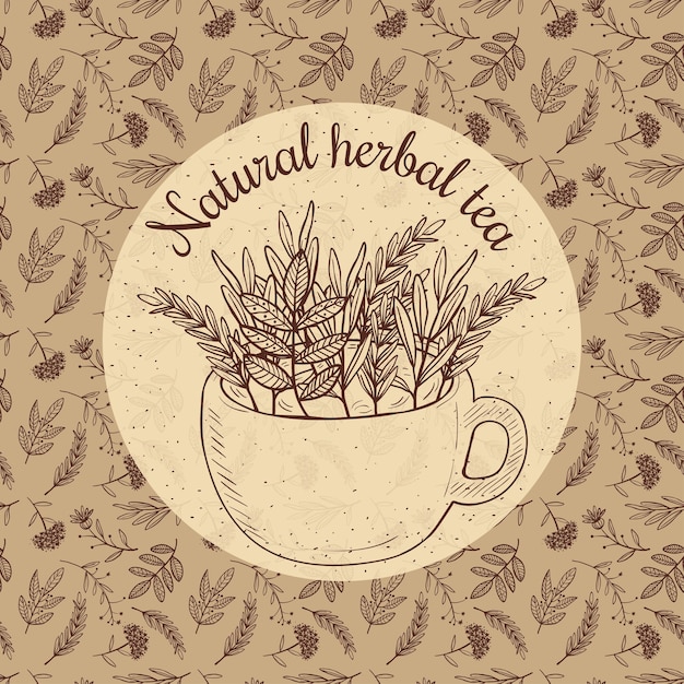 Illustration sketch card - herbal tea, craft