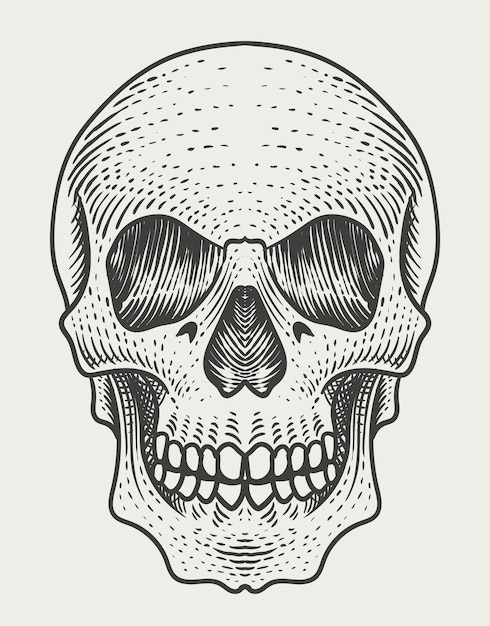 Vector illustration skull head with engraving style